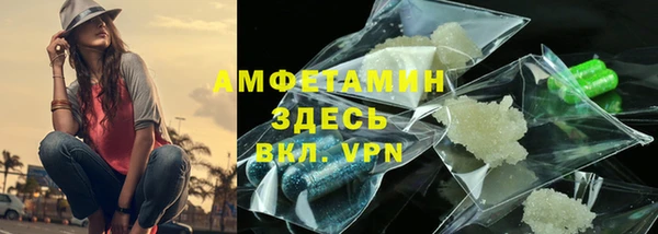 шишки Верея