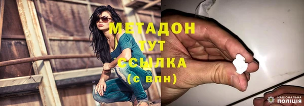шишки Верея