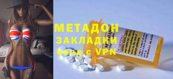 шишки Верея