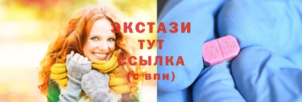шишки Верея