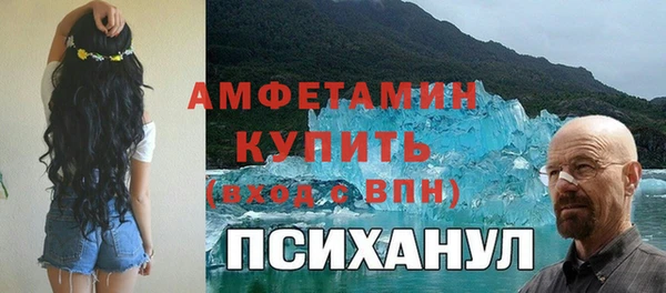 шишки Верея