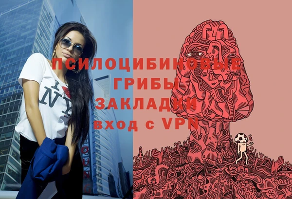 шишки Верея