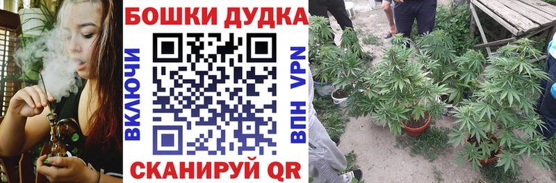 blacksprut зеркало  Ува  Бошки Шишки конопля 